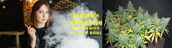 каннабис Гусев