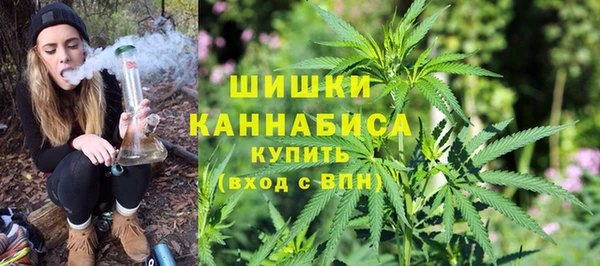 крисы Гусиноозёрск
