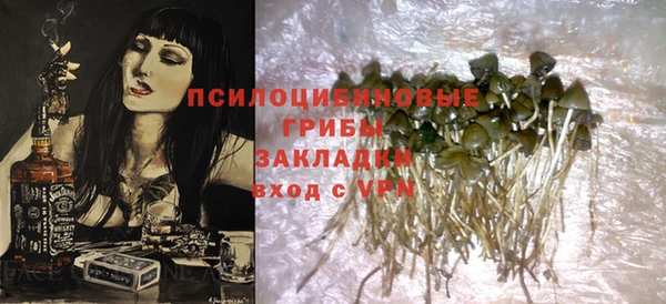 гидропоника Гусь-Хрустальный