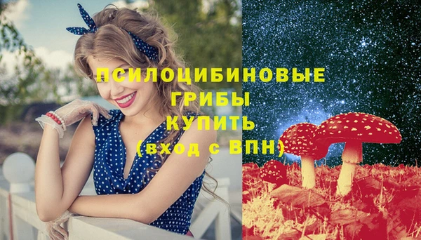 каннабис Гусев