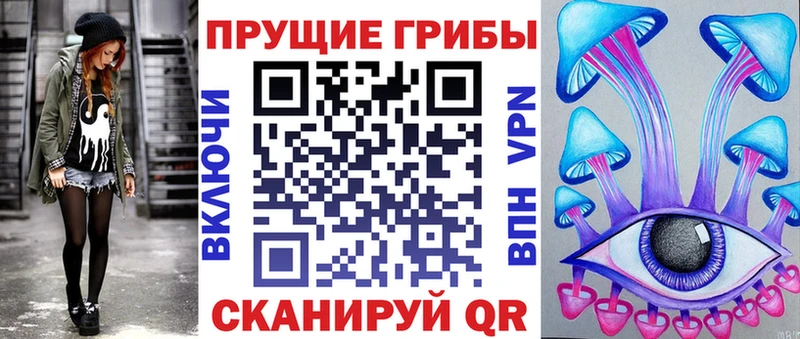 где продают наркотики  Западная Двина  Галлюциногенные грибы мицелий 