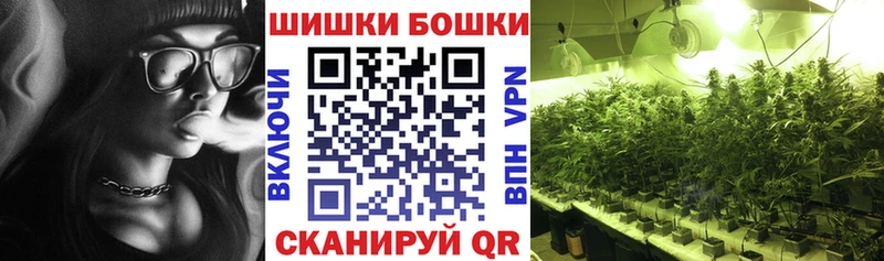 Конопля THC 21% Западная Двина